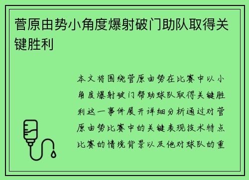 菅原由势小角度爆射破门助队取得关键胜利